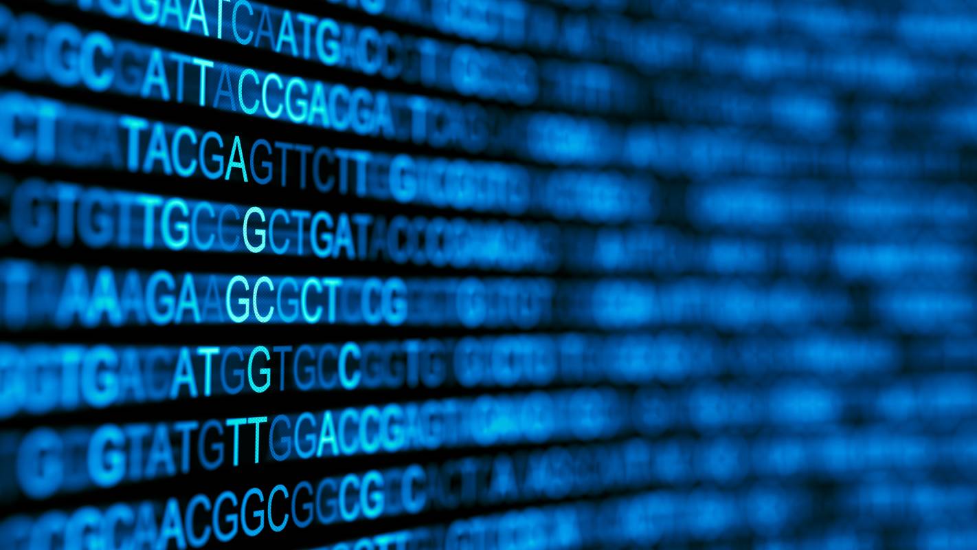 Human Genome Editing: Status