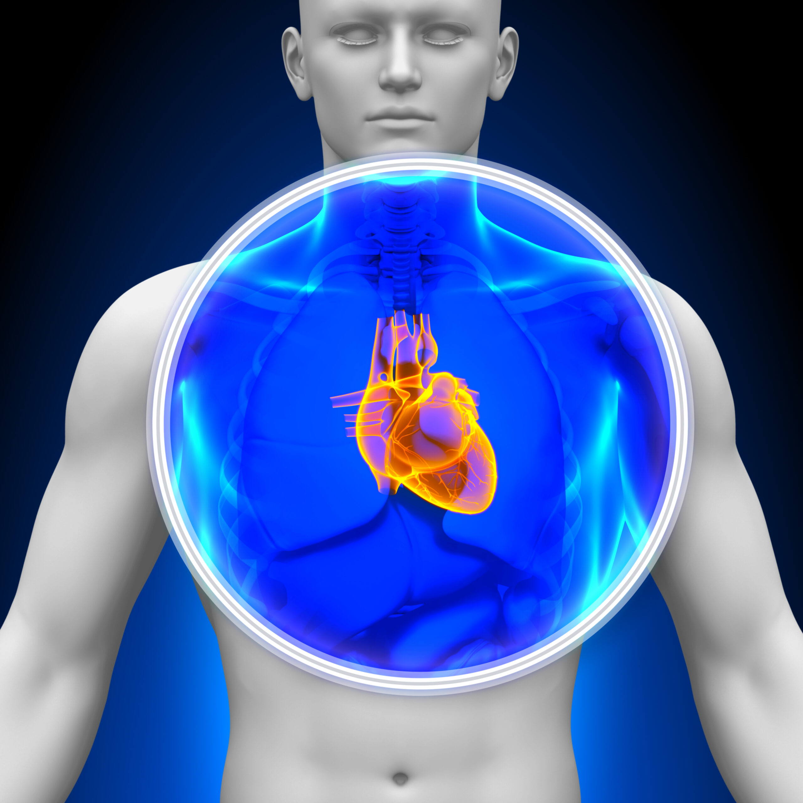 Magnetocardiography